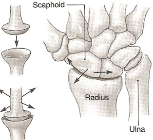 Quia - Types of Joints