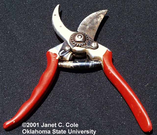 Quia - Nursery/Landscape Tools